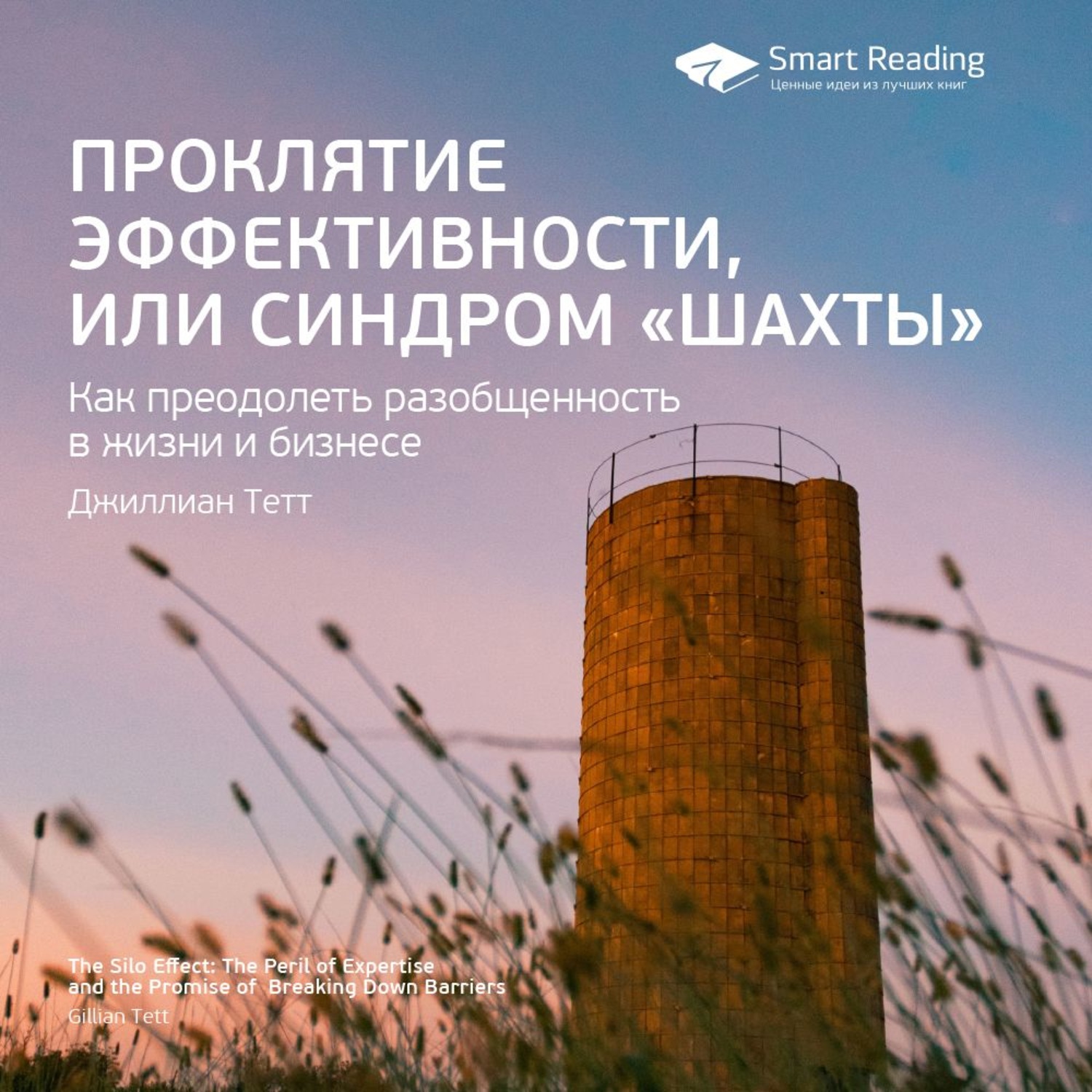 Smart Reading, Ключевые идеи книги: Проклятие эффективности, или Синдром  «шахты». Джиллиан Тетт – слушать онлайн бесплатно или скачать аудиокнигу в  mp3 (МП3), издательство Смарт Ридинг