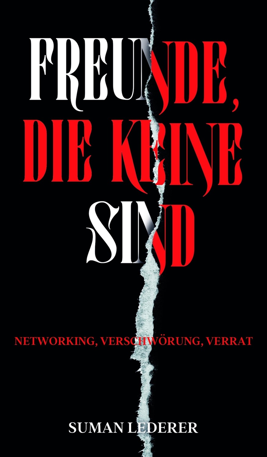 FREUNDE, DIE KEINE SIND / NETWORKING, VERSCHWÖRUNG, VERRAT eBook