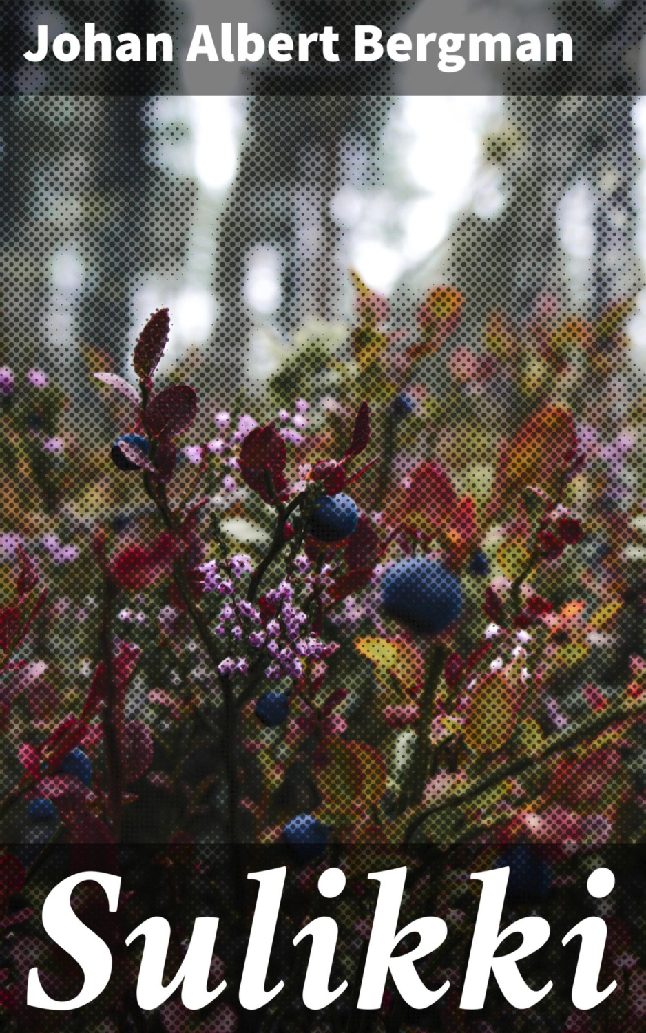 Sulikki, Johan Albert Bergman читать онлайн на Литрес