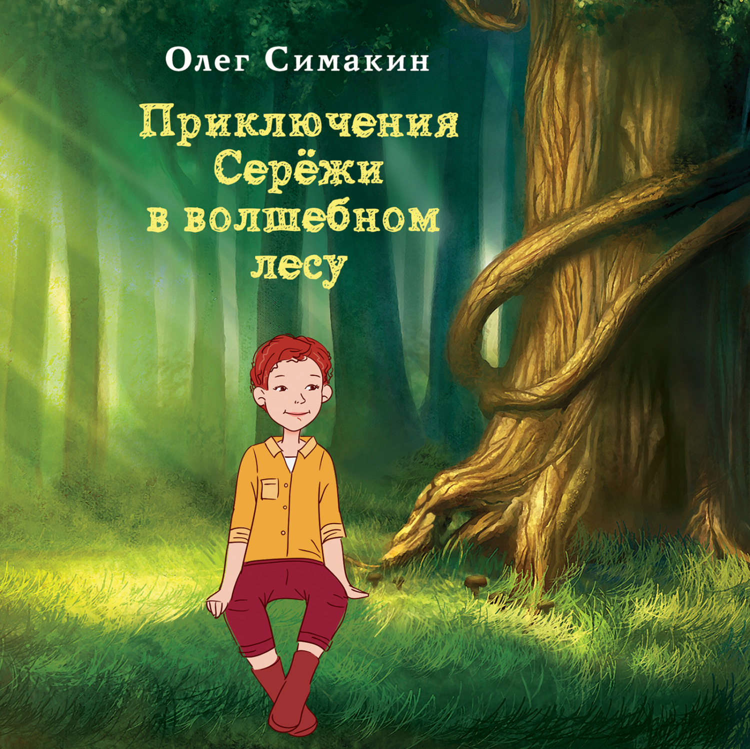 В лесах аудиокнига. Приключения Серёжи в волшебном лесу. Приключения друзей в волшебном лесу. Приключения Сережи Царапкина. Игра приключения Серёжи и Алены.