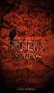 Spring - Projekt I