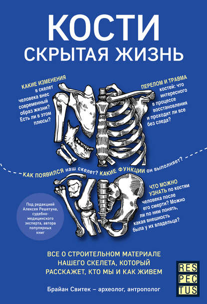 Кости: скрытая жизнь.