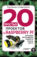 20 простых проектов на Raspberry Pi