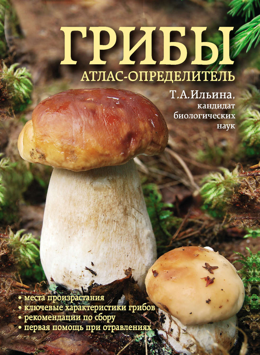 https://cv2.litres.ru/pub/c/pdf-kniga/cover_max1500/3946525-tatyana-ilina-griby-atlas-opredelitel.jpg