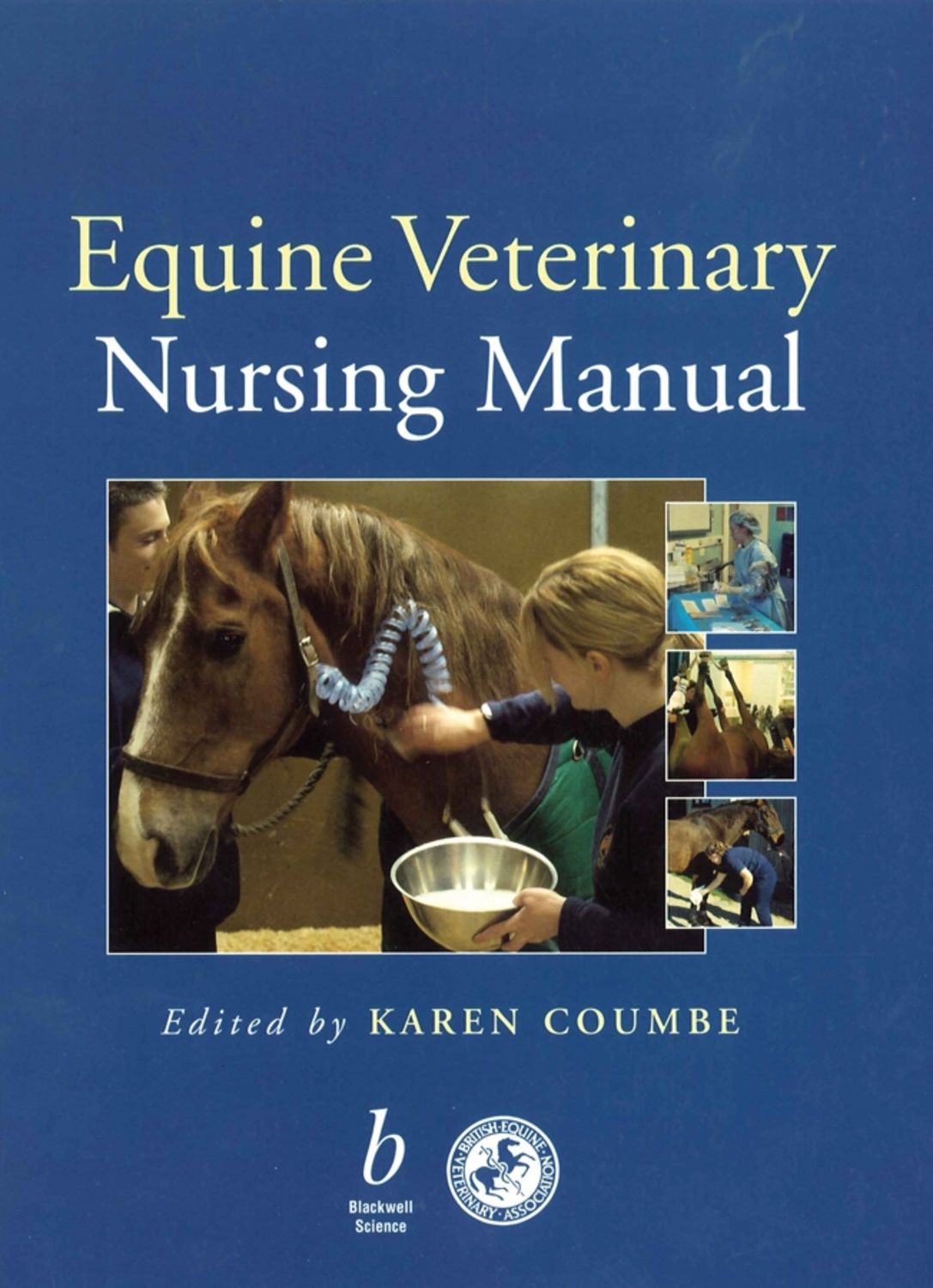 Equine Veterinary Nursing Manual read online at LitRes